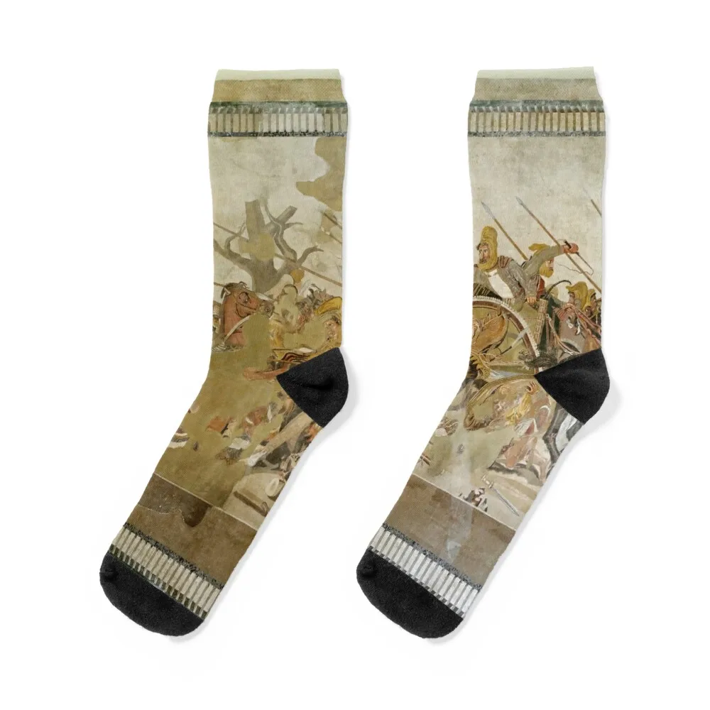 Alexander the Great Socks basketball short cotton Men's Socks Luxury Women's