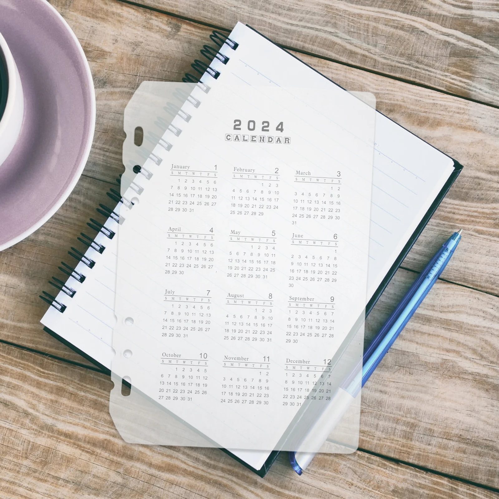 

Calendar Divider File Dividers Notebook Separator Transparent Binder Convenient Separators