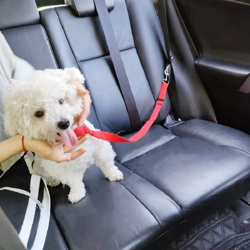 Solid Color Two-in-one Pet Car Seat Belt Nylon Lead Leash Backseat Safety Belt Adjustable Dogs Harness Collar Pet Accessories