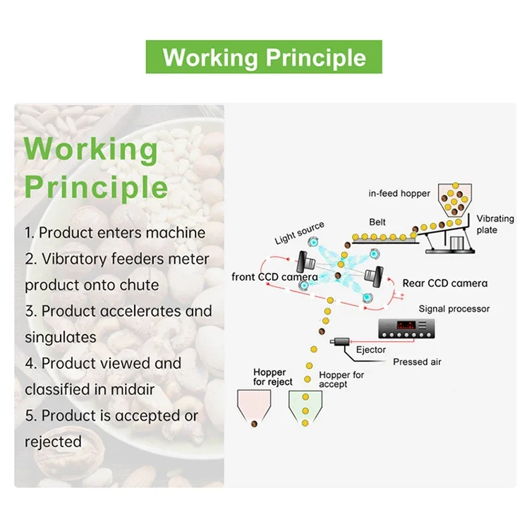 Сортировочная машина Wesort для сортировки семян чиа