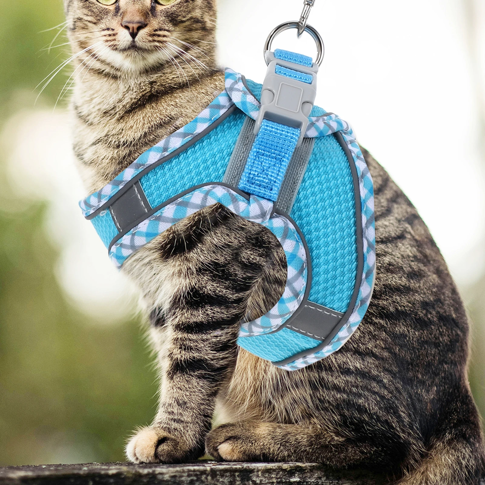 

Kitten Harness Rope Set Cat Harnesses for Walking Small Cats Portable Miniature and Leash Sky-blue Leashs