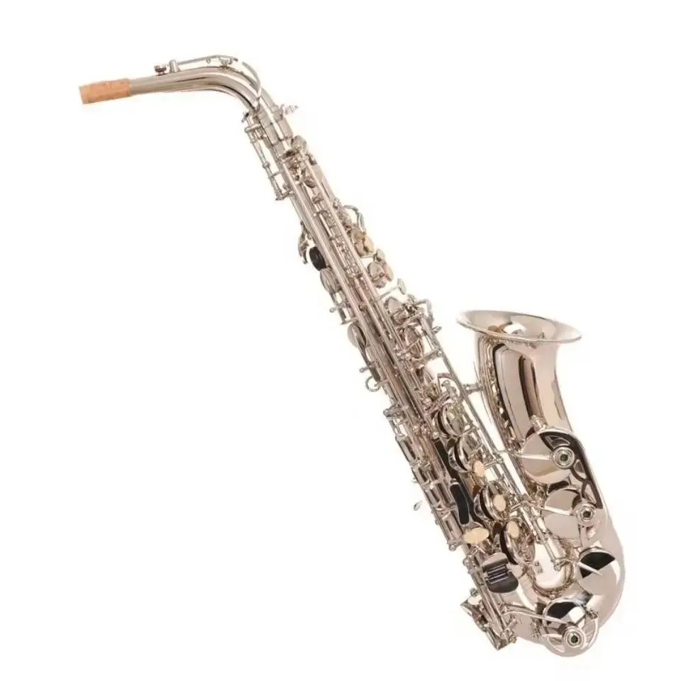 High Grade Antique Finish Eb E-flat Alto Saxophone Sax Shell Key Carve Pattern Woodwind Instrument with Case Other Aeccessaries