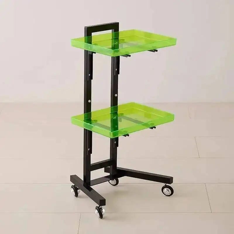 Con Arcylic Salon Trolley Barber Shop Beauty Hospital Auxiliar Trolley Salon Furniture Carro Ruedas Hairdresser Helper Fancy