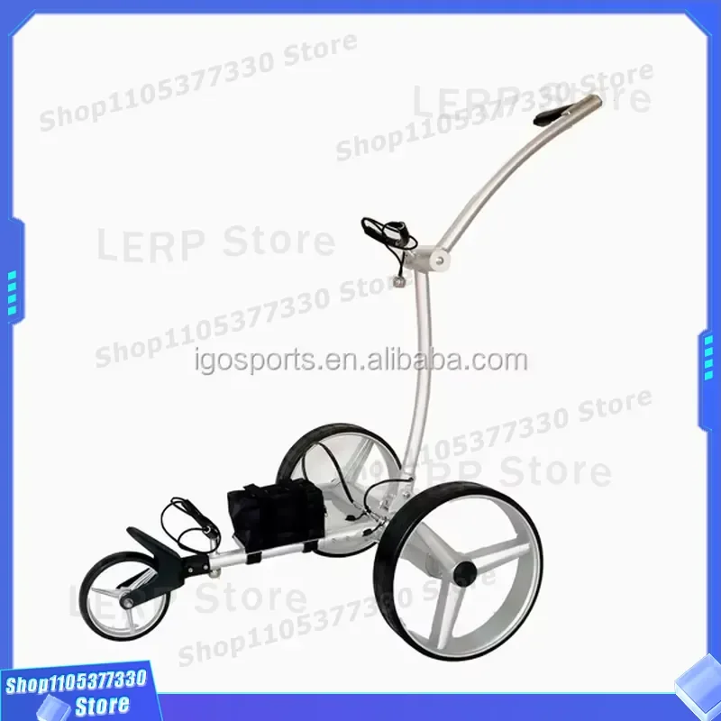 48V Electric Golf Cart 2 Seater Adult Utility Vehicle Low Speed Neighborhood Car for Hunting Camping Outdoor Recreation Use