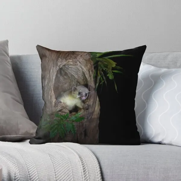 Kinkajou  Printing Throw Pillow Cover Bedroom Home Fashion Hotel Comfort Square Office Soft Bed Car Pillows not include One Side