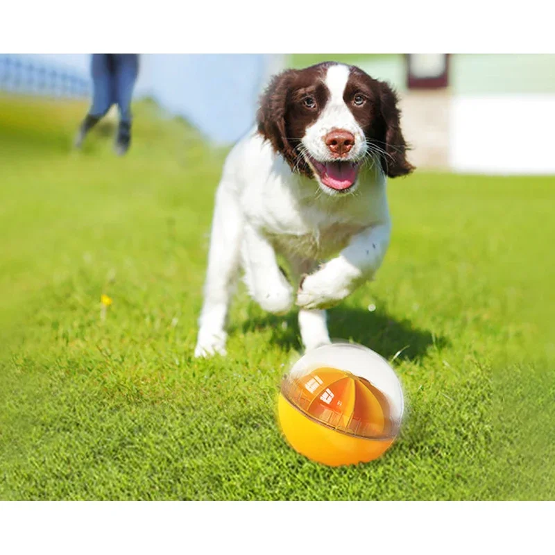 Bola makanan untuk anjing, mainan makanan hewan peliharaan, bola Gerinda, mainan pendidikan