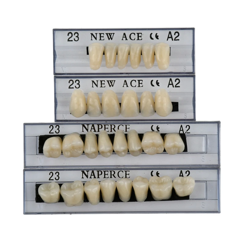 168 stks/doos Tandheelkundige Materialen Prothese Valse Tanden Model Hars Kunstgebit Tandarts Lab Gereedschap