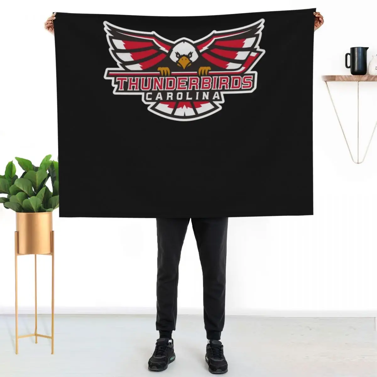 Carolina Thunderbirds Throw Blanket christmas gifts Retros Camping Single Cute Plaid Cute Blankets