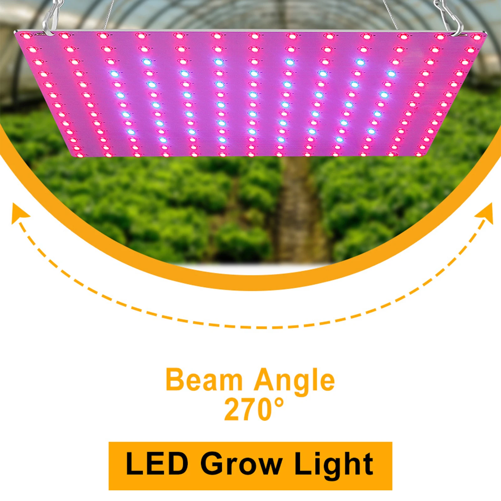 LED Grow Light Red Blue Full Spectrum 81 LEDs Grow Lamps LED Panel Grow Light for Succulents Hydroponic Greenhouse Indoor Plant