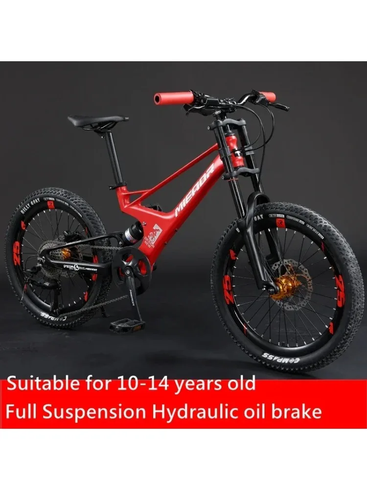 AliExpress 20 Inch Kids Full Suspension MTB - 8 Speed Hydraulic Brake Softail Enduro Mountain Bike for Children