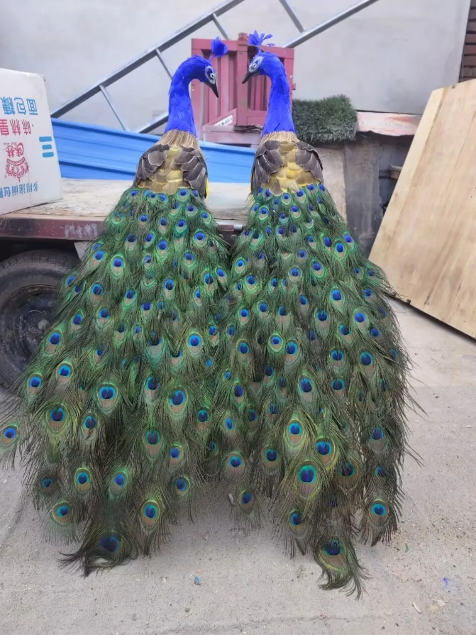 a pair of long tail simulation peacock models foam&feather peacock gift about 120cm xf2555