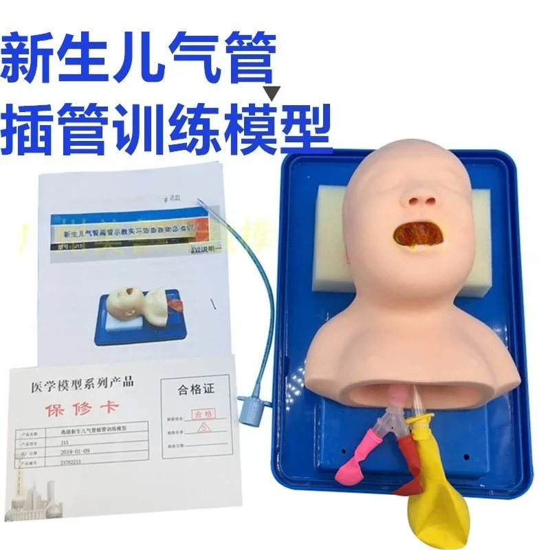 Airway obstruction model, suitable for simulating human body, and neonatal cardiopulmonary resuscitation model with infarction