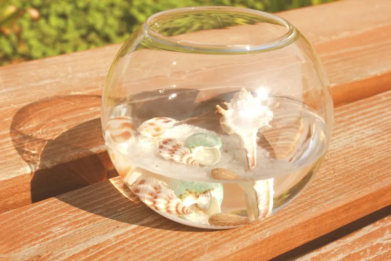 8/10/12/15CM Glass Vase Micro Landscape Hydroponic Flower Vase Round Glass Vases Fish Tank Fishbowl Garden Home Decor