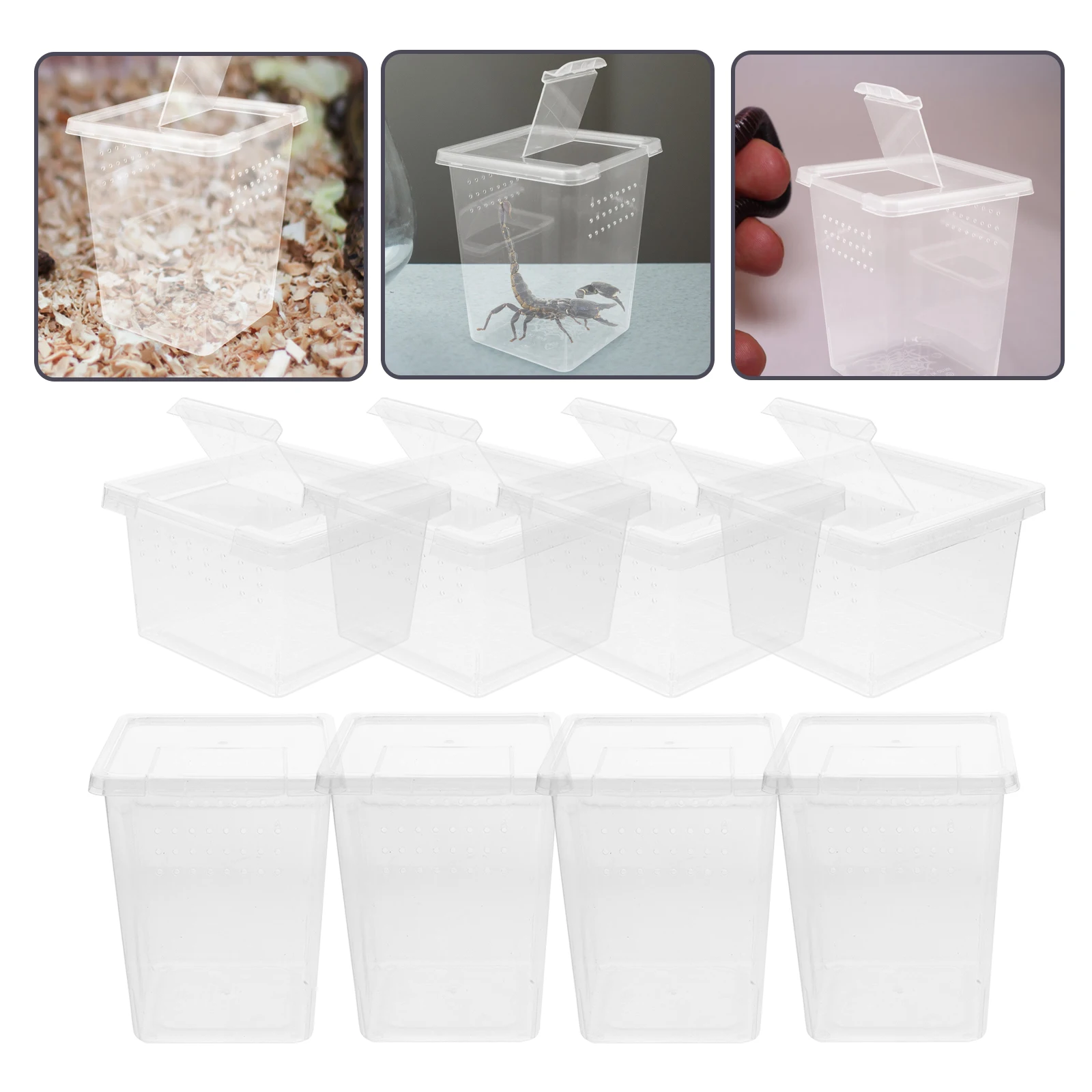 8 قطعة الحيوانات الأليفة العنكبوت الموئل شفافة الزواحف الضميمة التهوية خزان التغذية للكريكيت الثعابين الناسك كراب المحمولة #5