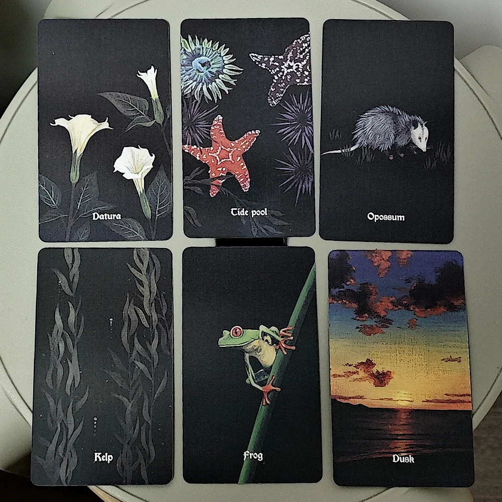 Nocturna Oracle Deck 10.3*6cm 48 Pcs Oracle Cards