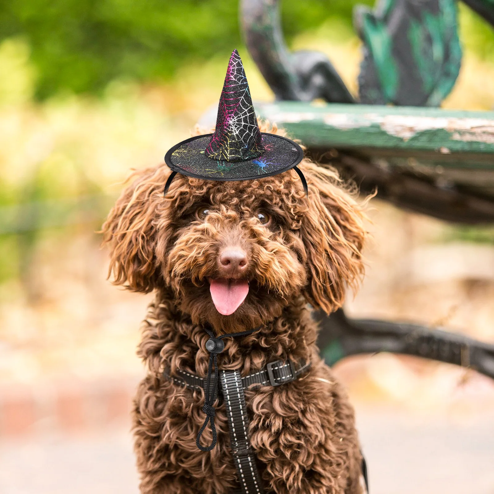 

2Pcs Halloween Pet Party Hat Decorative Witch Hat Premium Material Comfortable Pet Costume Accessories for Dogs Cats