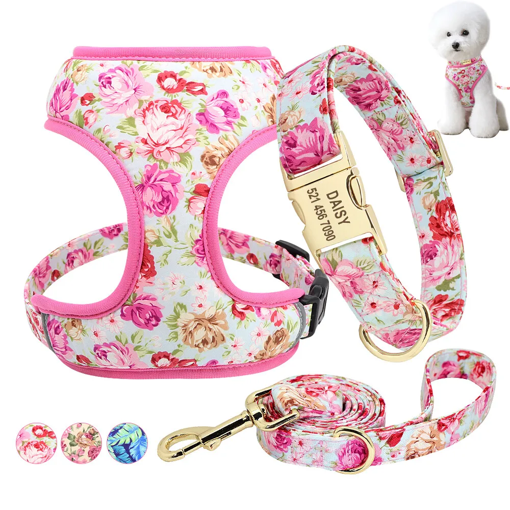 #50 Latest Puppy Harnesses Offers