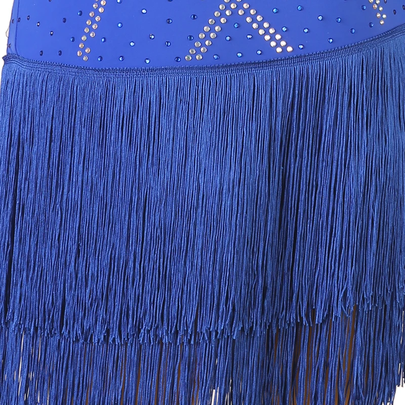 Adult Latin Competition Dance Skirt Blue Elegant Rumba Samba Tassel Dancing Dress Women Long Sleeve Standard Latin Skirt