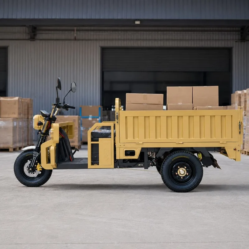 Electric Tricycle Cargo Vehicle Customized 500 1000 KG Load Passenger Cargo Self Dump Model 400 12 Tire Daily Transport