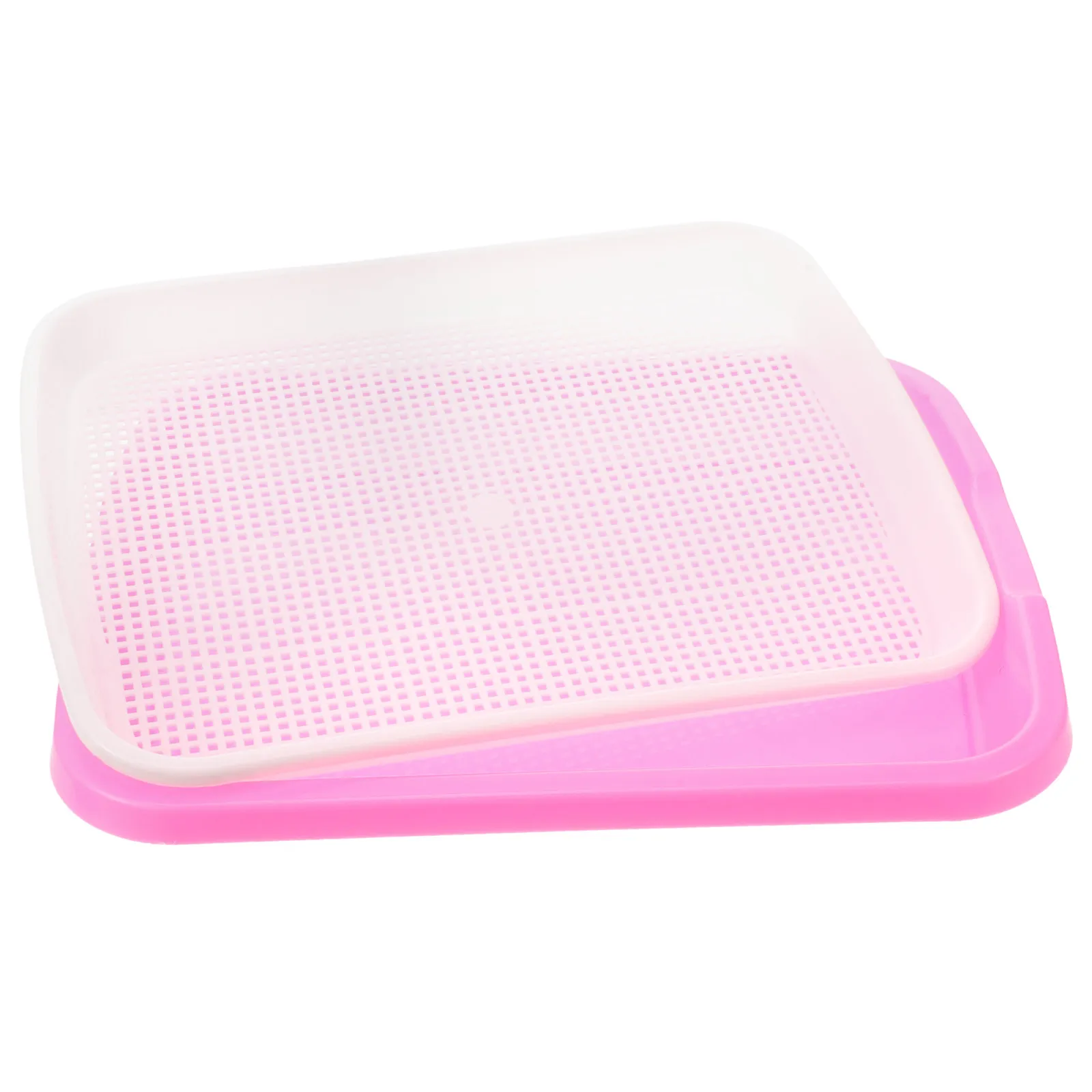 Sprouter Tray Premium Bpa Free PP 35x26x5cm Pink Soil-Free Seed Grower Tray Sprouting Storage Sprouter