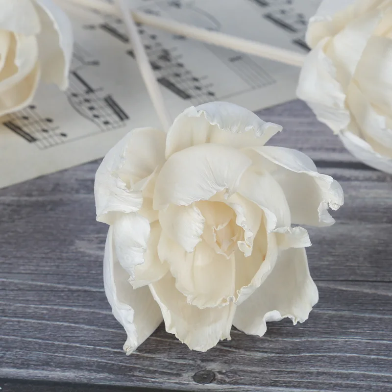 10PCS DIY Home Decor Plant Dried Flower for Essential Oil Volatilization,Aromatherapy Accessories Sola Flower for Reed Diffuser