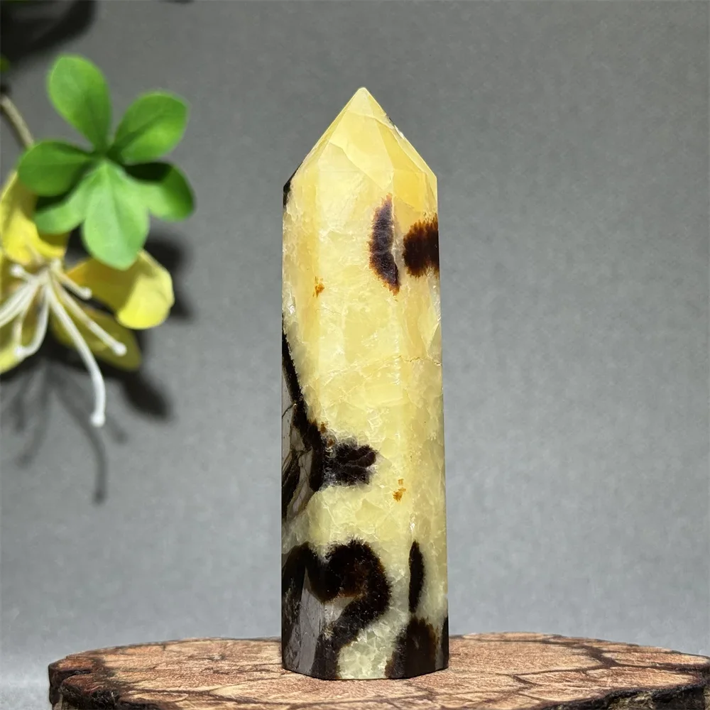 Natural Gemstone Turtle Back Stone Obelisk Mineral Specimen Reiki Energy Therapy Meditation Collection Wand Home Decoration