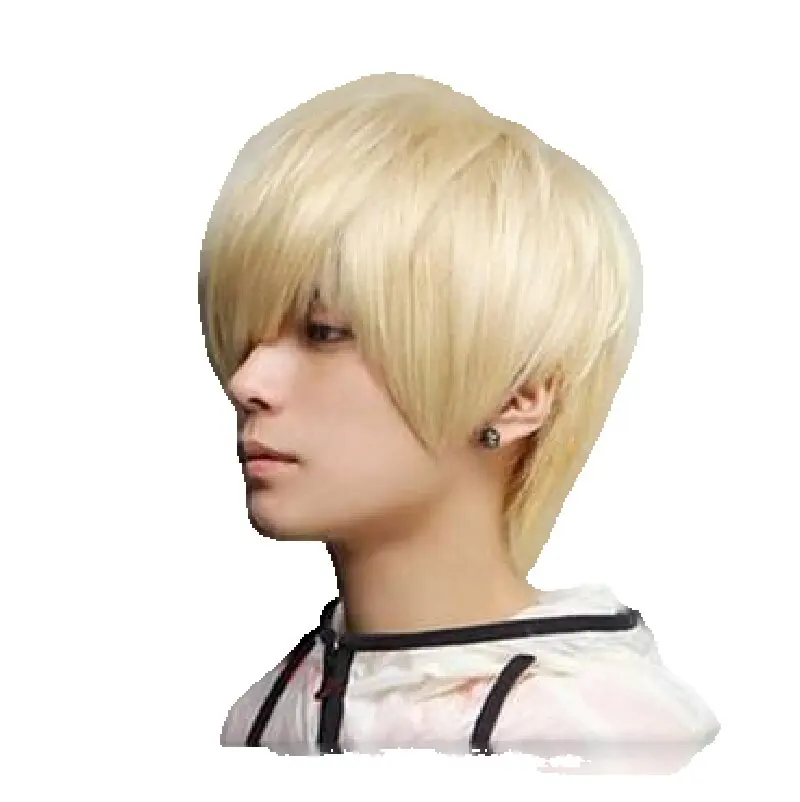 Fei-Show Synthetic Heat Resistant Fiber Short Wavy Wig Man Fashion Daily Use Brown Wig For White Man Male Party Salon Hairsets