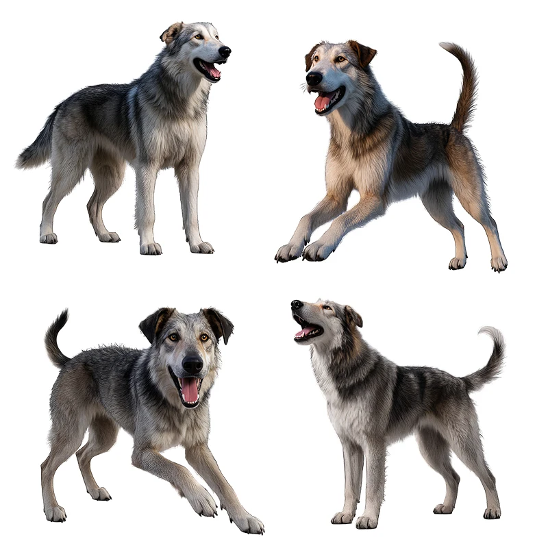 Three Ratels CG182 Irish Wolfhound Animal Stickers for Home Decoration Waterproof Car decals