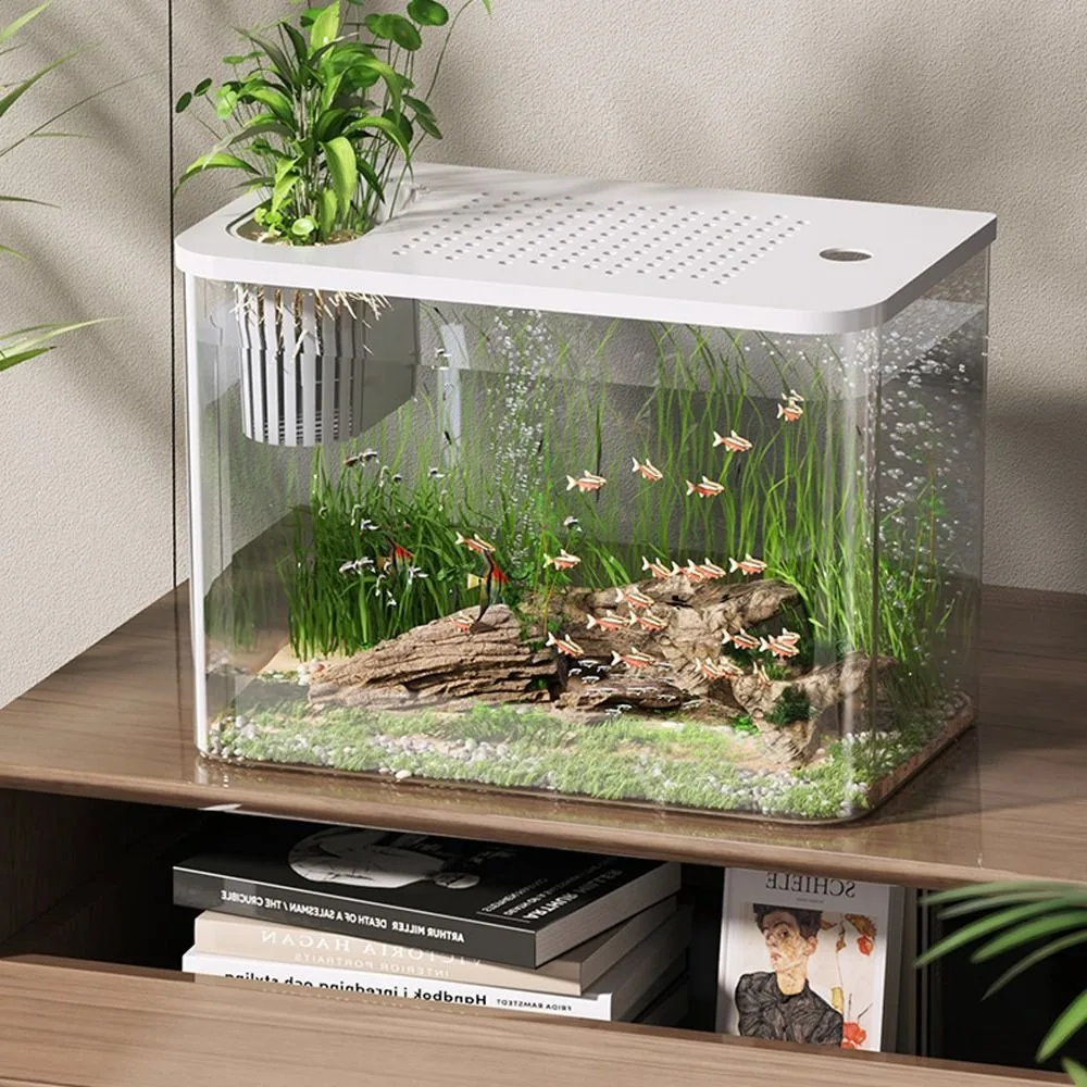 

Durable Transparent Fish Tank Small with Lid Turtle Tank Drop Resistant Betta Aquarium Tank For Home Decorative