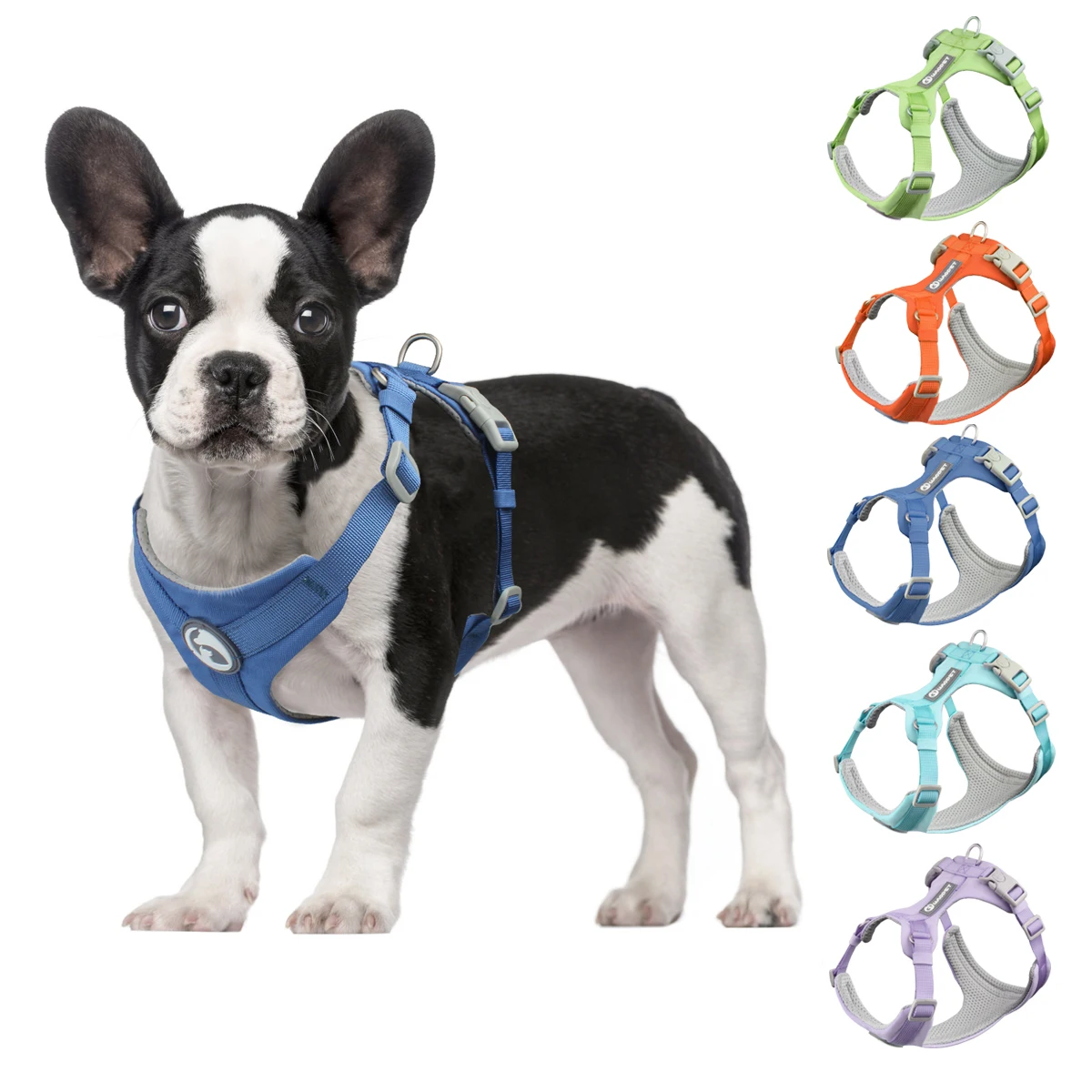 Macaron Series Dog Harness Vest No Pull Nylon Adjustable Safety Dog Harness For Small Medium Large Dog Collar New Free Shipping