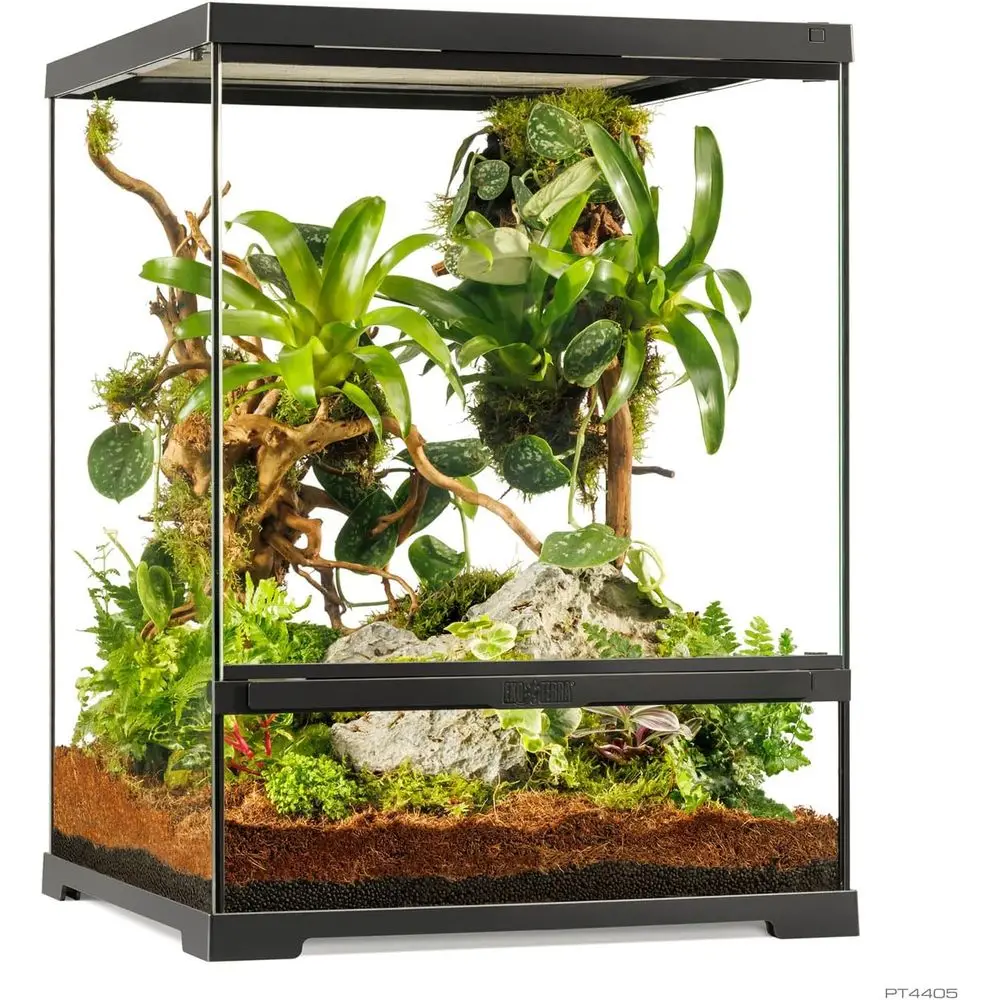 

Terrarium Small Tall. d Natural Terrarium