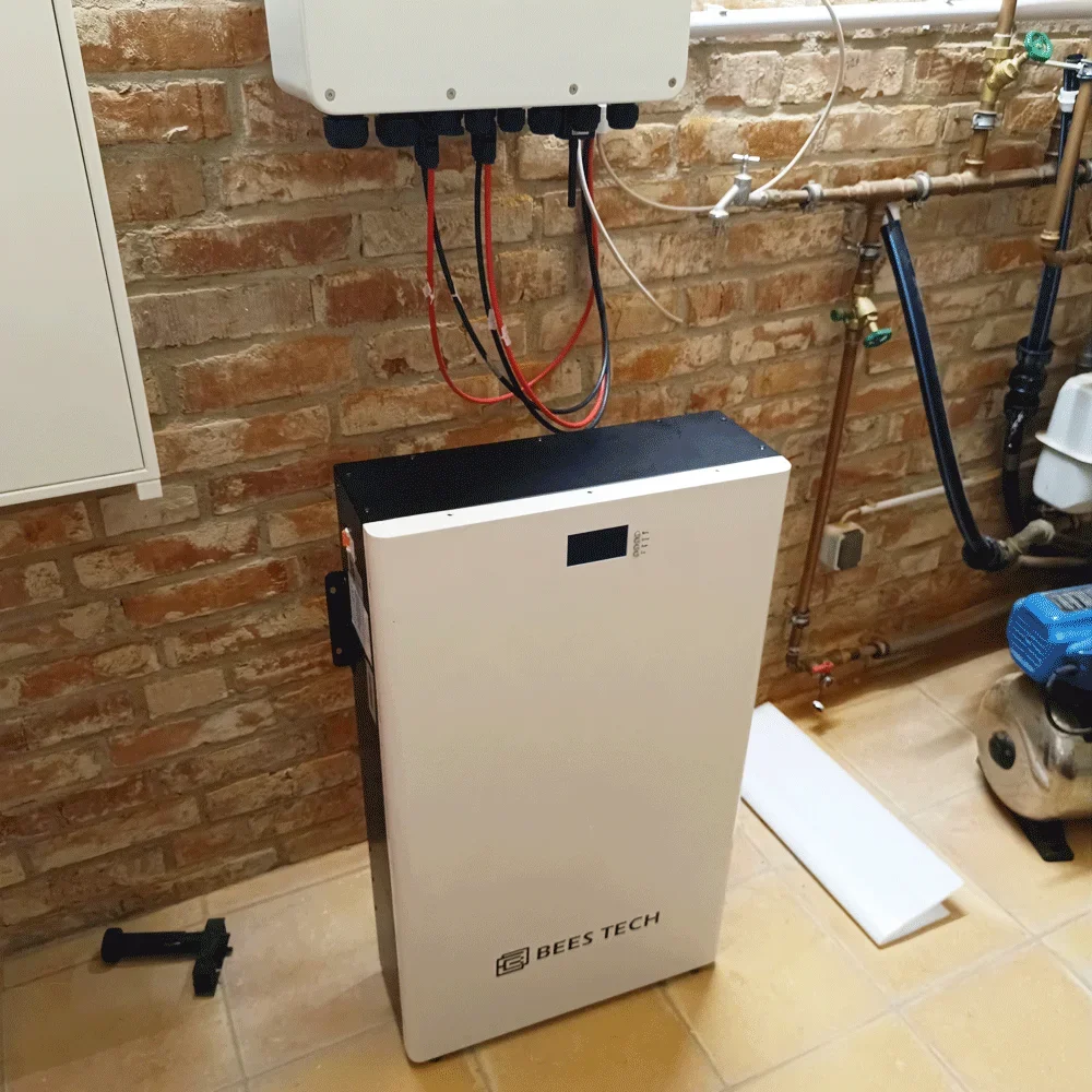 Batería de almacenamiento de energía Solar para el hogar, paquete de batería de litio montada en la pared, Lifepo4, 5kWh, 10KWh, 48V, 51,2 V, 100Ah, 200Ah