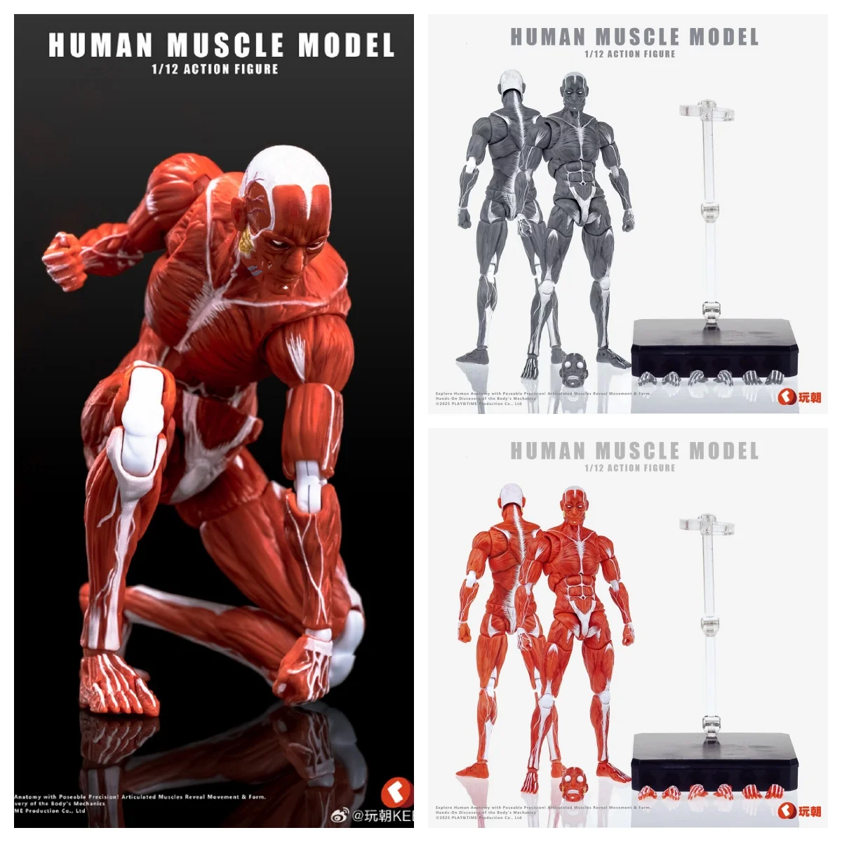 

Анатомически точное мышечное тело в масштабе 1/12 — ультра позашающаяся фигурка человека