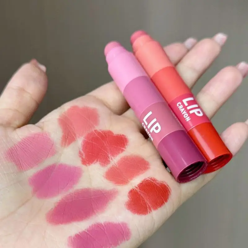 Mini Rouge à Lèvres 4 en 1 avec Pigment de Maquillage, Ensemble de 256, 4 Couleurs, en Velours, Rouge PamplŒusse, Coupe Antiarina, Kit de Cosmétiques