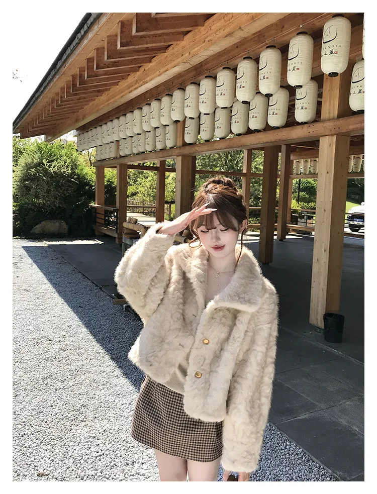 Korean Stand Collar Plush Jacket for Women Winter Thick Fluffy Cropped Faux Fur Coat Woman Loose Sweet Single Breasted Outerwear