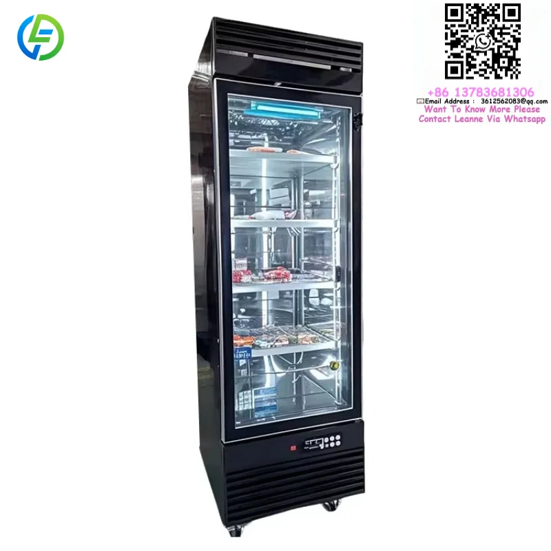Customized 0.6m High Quality Stainless Steel Air Dry Ager Curing Chamber Beef Steak Meat Built-in Dry Aging Fridge Refrigerator