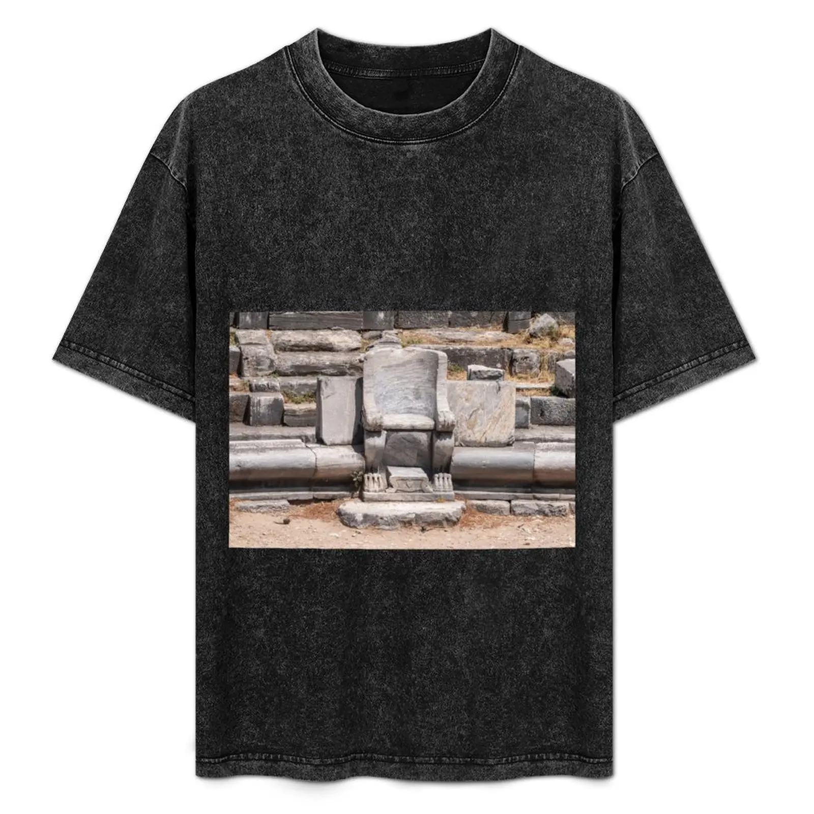 

Priene ancient city in Turkey T-Shirt Regular Fit Plain Tee Shirt