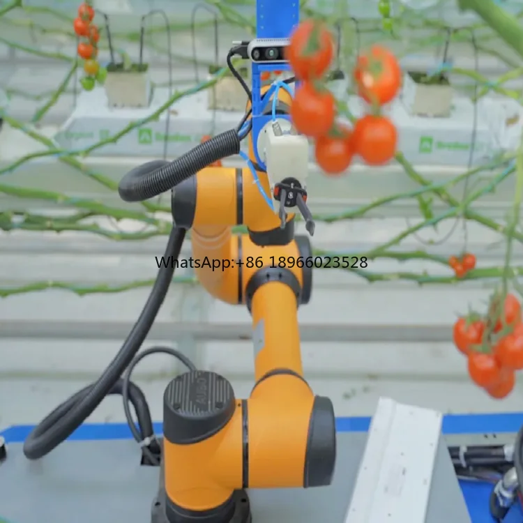 AUBO Collaborative Robot With Robotic Arm For Farm Delivery And Orchard Picking Flowers And Fruits As AGV Robot