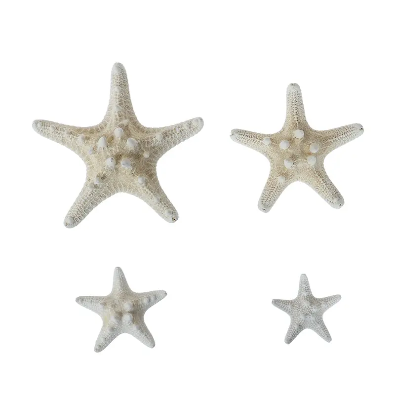 2-14cm Natural Starfish Seashell Beach Craft Natural Sea Stars DIY Beach Wedding Decoration Crafts Home Decor Epoxy