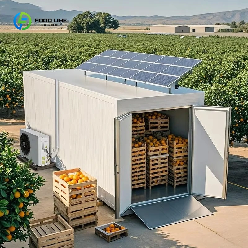 

Customized 20Ft 40Ft Solar Container Cold Storage Freezer System with Daikin Compressor Energy Saving