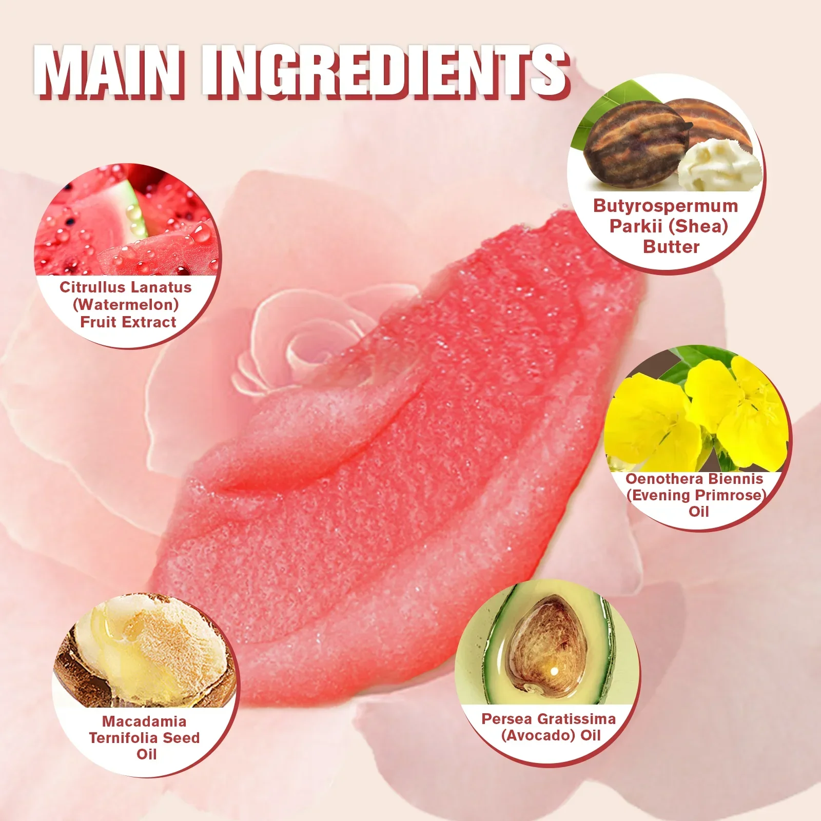 50 جرام مقشر الشفاه نكهة الفاكهة البطيخ الفانيليا مقشر الشفاه ترطيب مغذي تقشير الجلد الميت تقليل الشفاه الخطوط الدقيقة