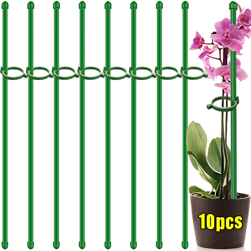 10/5 pçs estacas de suporte de plantas anti lodging suportes para vasos de plantas rosa haste de videira haste de suporte verde suporte ferramentas de jardinagem