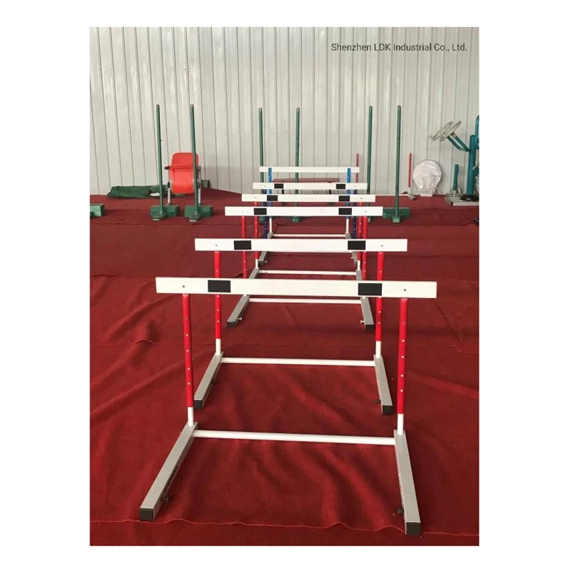 Saiwei Ldk Sports E… - image