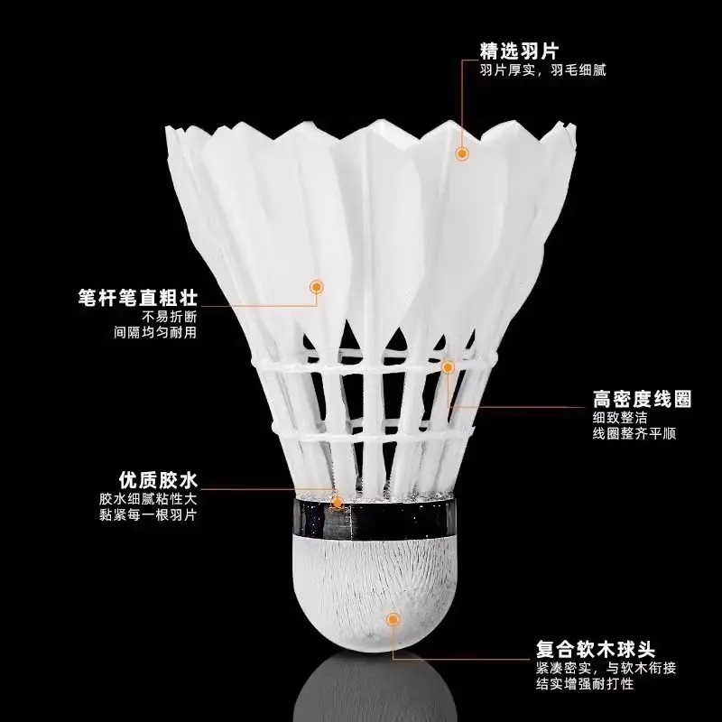 Volani da badminton Lion in pi - Feather Shuttlecock recensione e prezzo