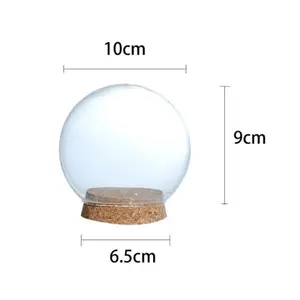 Kubah Kaca Dekoratif Bening Vas Pelestarian Bunga Cloche Bell Jar dengan Ornamen Tanaman Dasar Kayu Miniatur Rumah Boneka 12cm 6 kubah glas penjualan terbaik - №