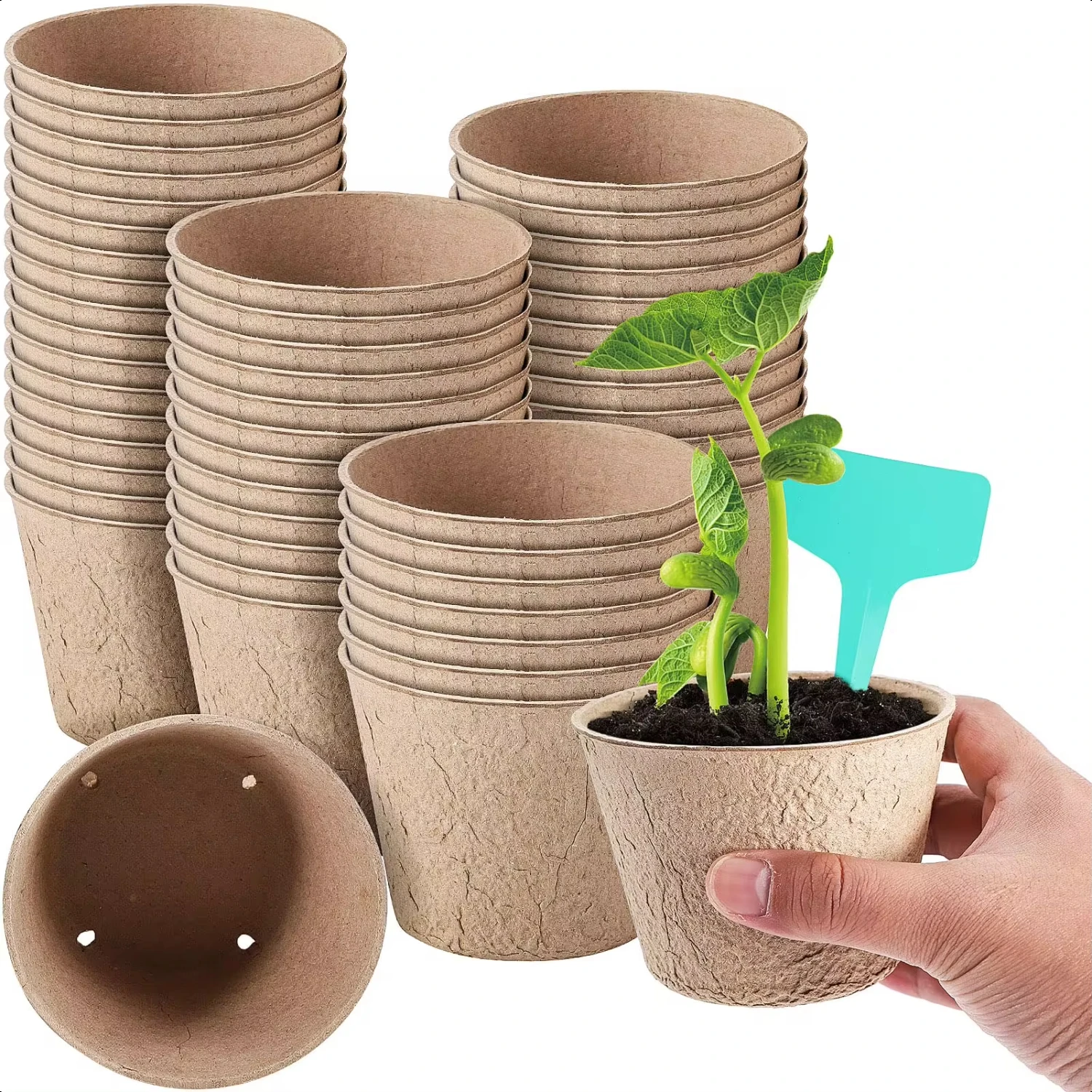 50 Packs 4 Inch Peat Pots Plant Starters  Seedling with 15 Pcs Plant Labels, Biodegradable Herb Seed Starter Pots Kits