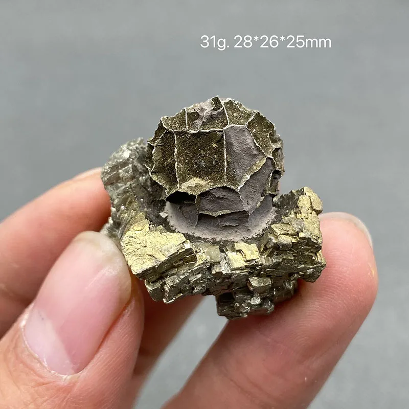 100% natural rare Septarium stone pyrite symbiotic rough stone mineral specimen crystal gem collection