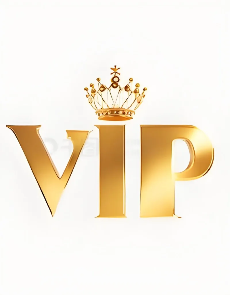 Extra Fee For Shipment or Additional Pay on Your Order of Customized Product VIP LINK