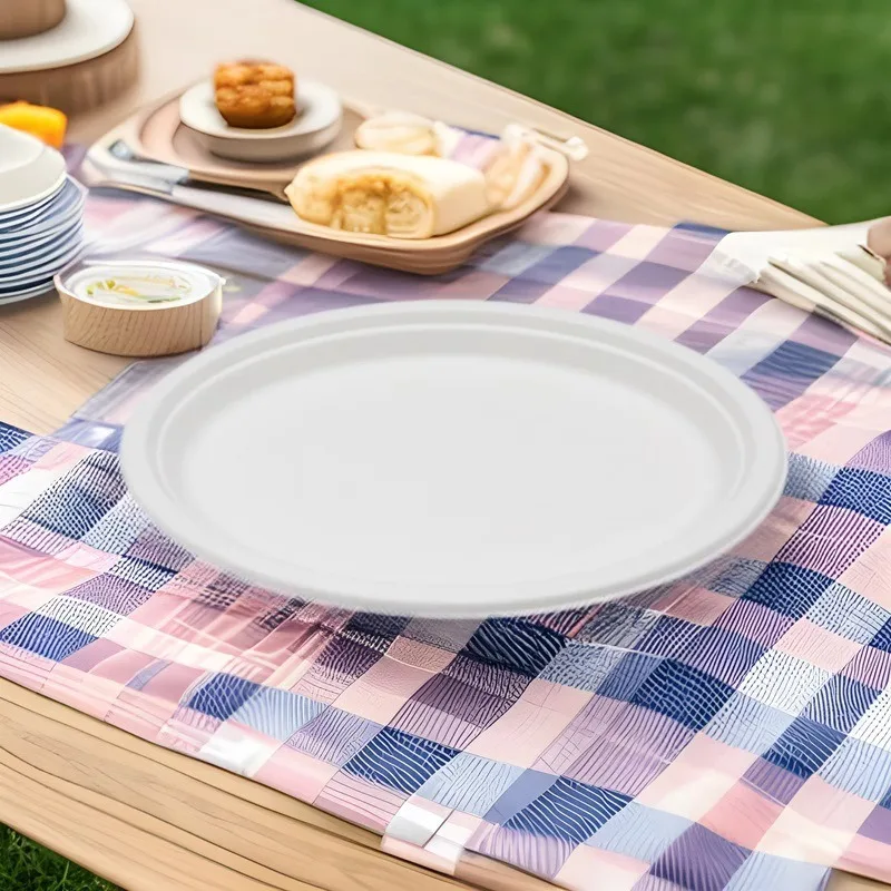 Disc plate, disposable school unit company canteen plate