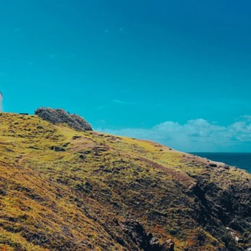 

Набор поворотных кулаков 1/10, сплав для комплекта чашек рулевого управления автомобиля с дистанционным управлением